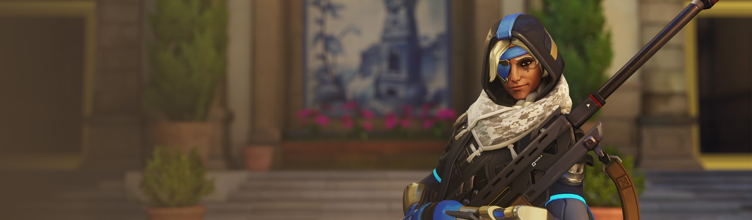 Ana banner
