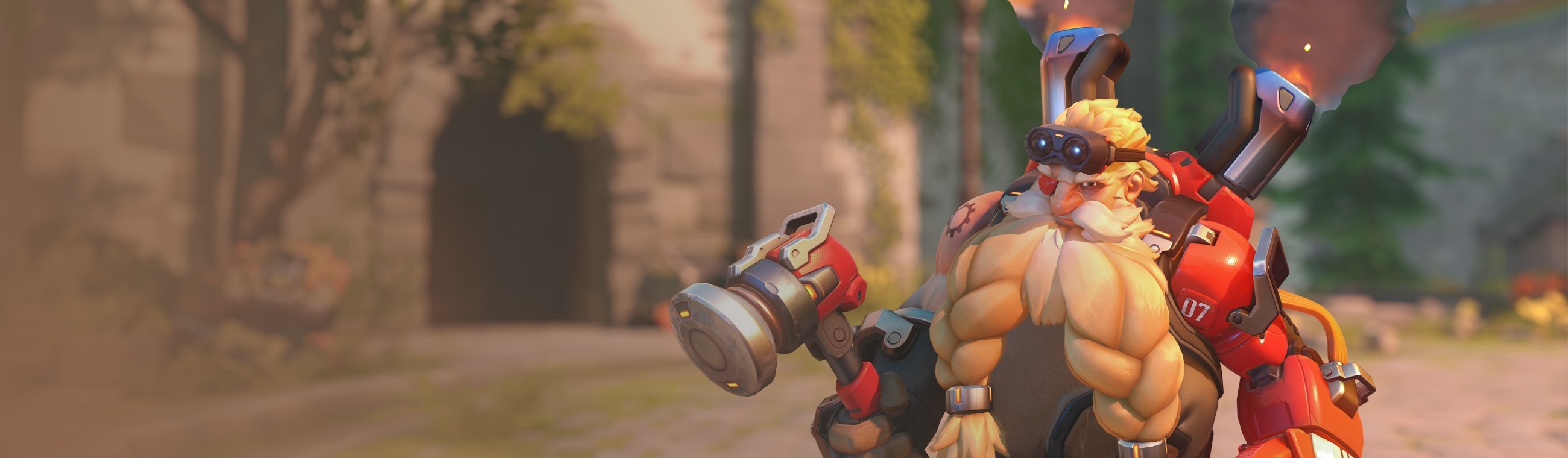 Torbjörn banner