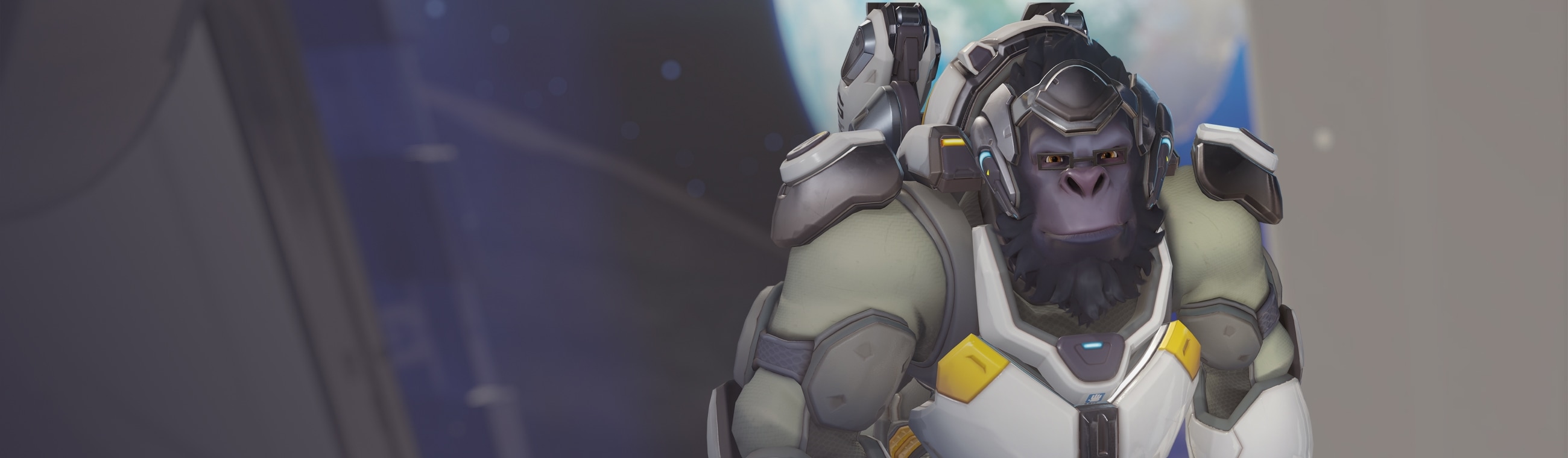 Winston banner